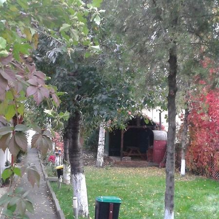 Camping Paradisul Soferilor Onesti Ruang foto