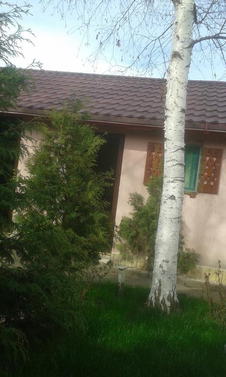 Camping Paradisul Soferilor Onesti Bagian luar foto