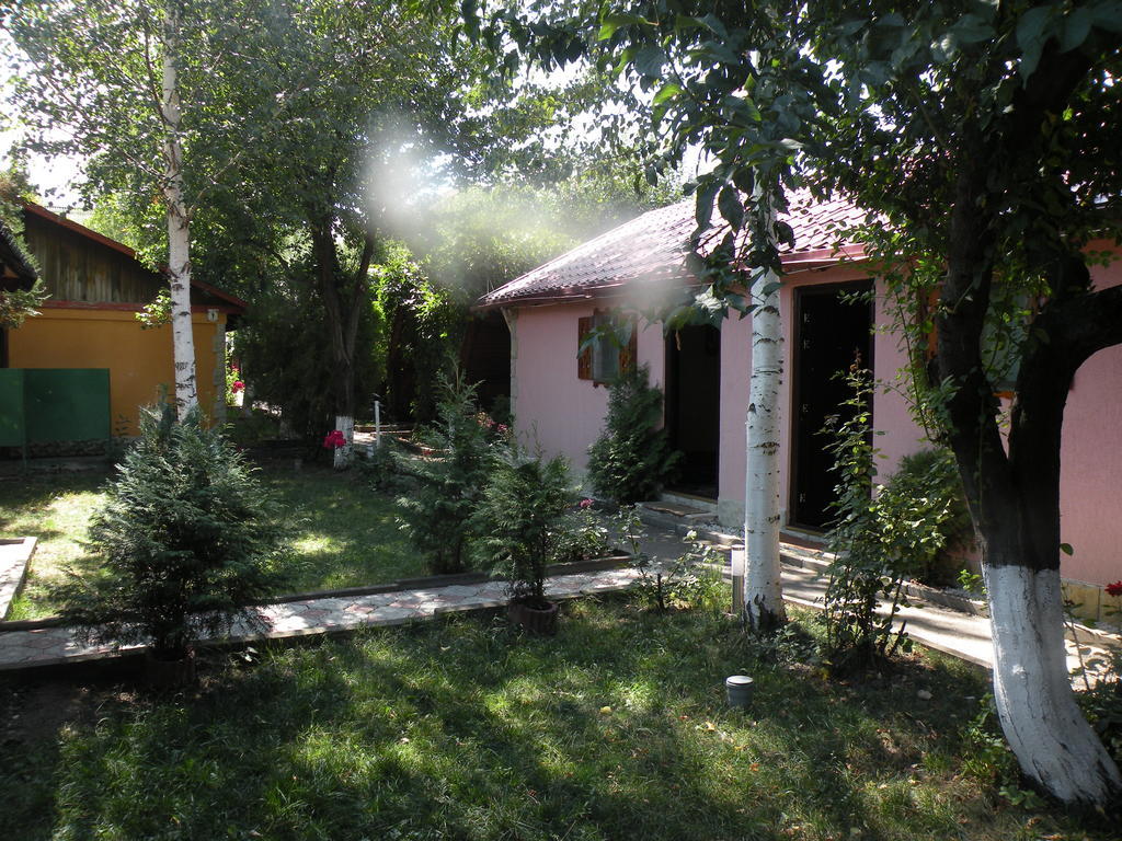 Camping Paradisul Soferilor Onesti Bagian luar foto