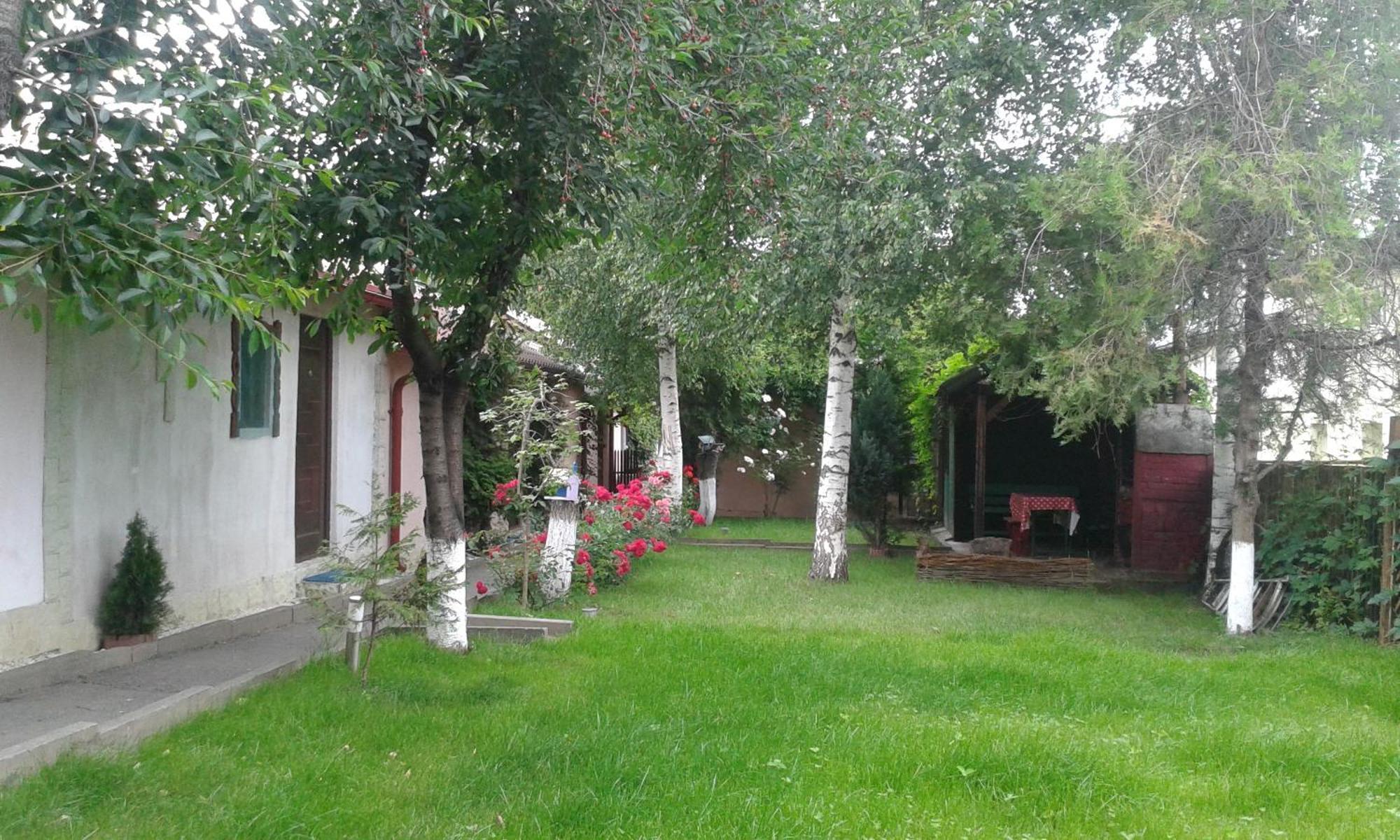 Camping Paradisul Soferilor Onesti Bagian luar foto