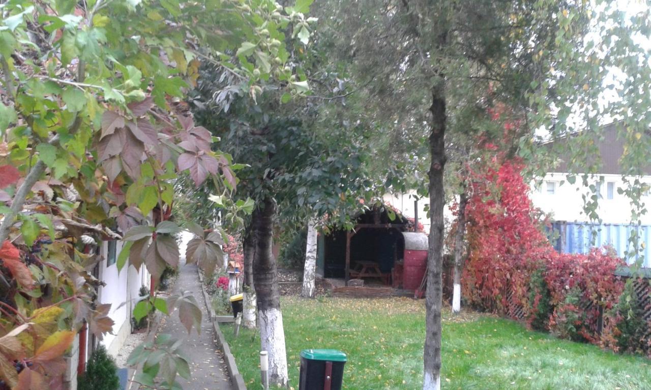 Camping Paradisul Soferilor Onesti Ruang foto